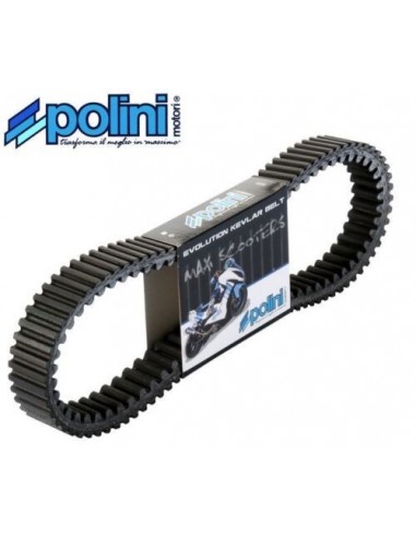 Courroie Polini EVOLUTION TMAX 560 TMAX 530